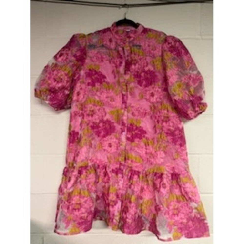 Chicwish Pink Floral Organza Puff Sleeve Babydoll Mini Dress XL